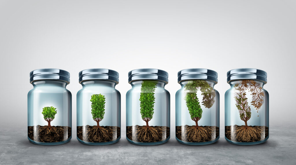 Sales Growth Bottled Up? How Tech Company Leaders Can Break Free and Find Renewed Success